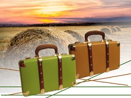 Kazeto suitcase design pepito